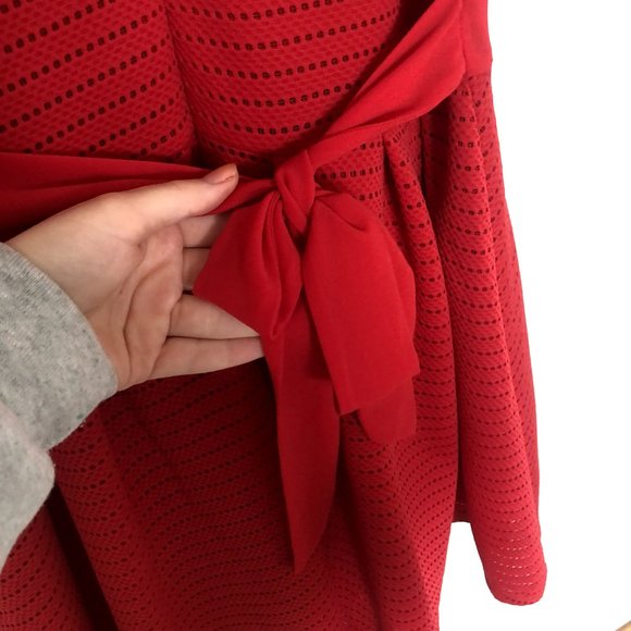 Red A-Line Mini Dress with Bow - Picture 4 of 5